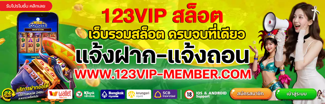 123VIP